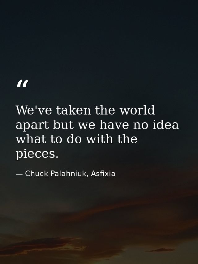 We've taken the world apart but we have no idea what to do with the pieces. — Chuck Palahniuk, Asfixia