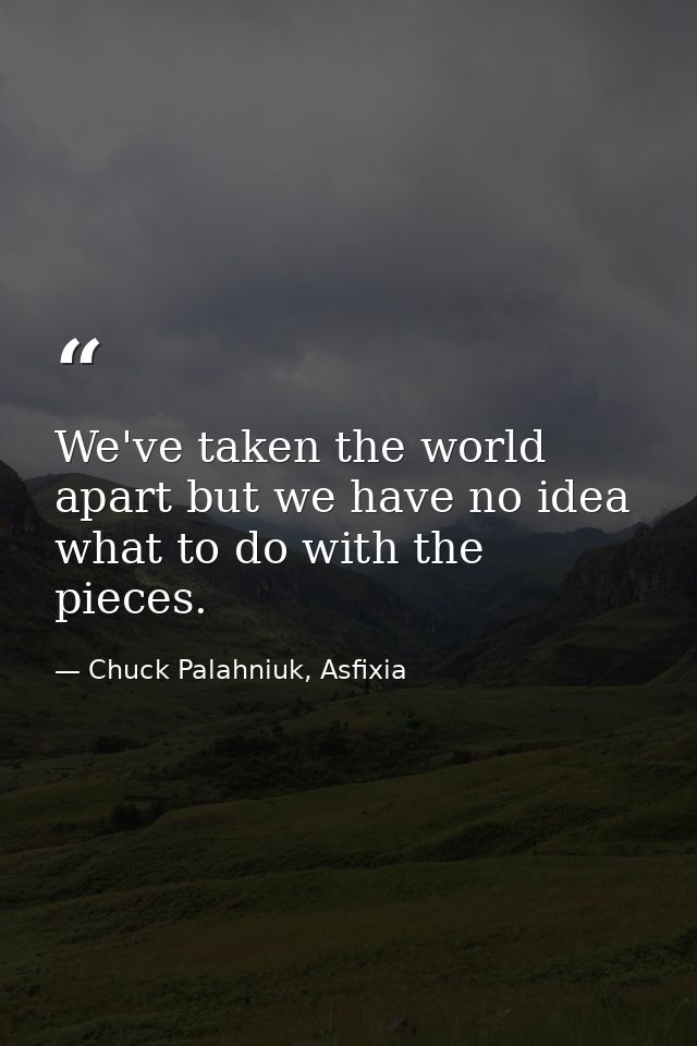 We've taken the world apart but we have no idea what to do with the pieces. — Chuck Palahniuk, Asfixia