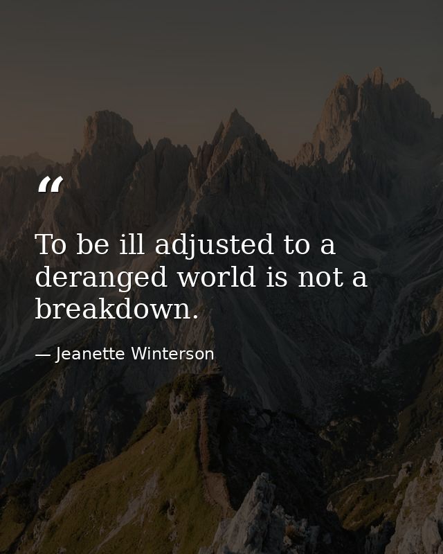 To be ill adjusted to a deranged world is not a breakdown. — Jeanette Winterson