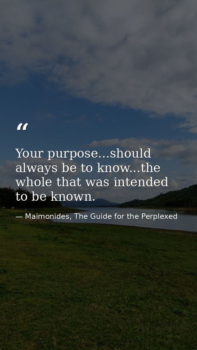 Your purpose...should always be to know...the whole that was intended to be known. — Maimonides, The Guide for the Perplexed