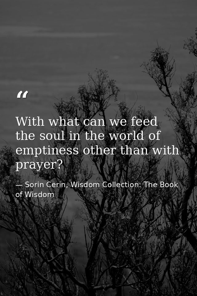 With what can we feed the soul in the world of emptiness other than with prayer? — Sorin Cerin, Wisdom Collection: The Book of Wisdom