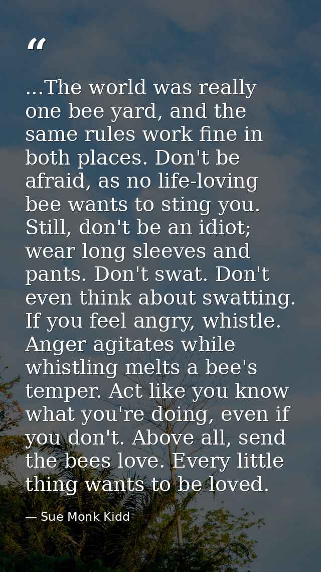 ...The world was really one bee yard, and the same rules work fine in both places. Don't be afraid, as no life-loving be — Sue Monk Kidd