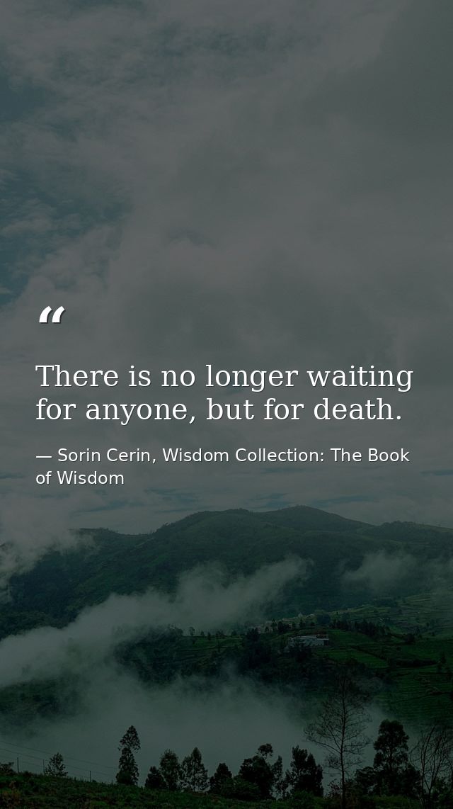 There is no longer waiting for anyone, but for death. — Sorin Cerin, Wisdom Collection: The Book of Wisdom