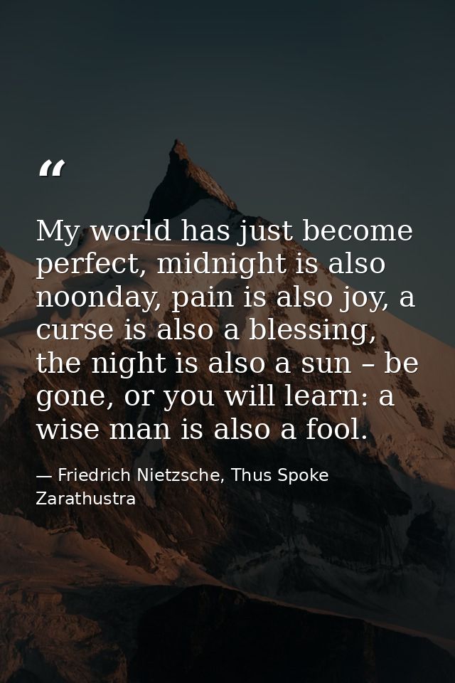 My world has just become perfect, midnight is also noonday, pain is also joy, a curse is also a blessing, the night is a — Friedrich Nietzsche, Thus Spoke Zarathustra