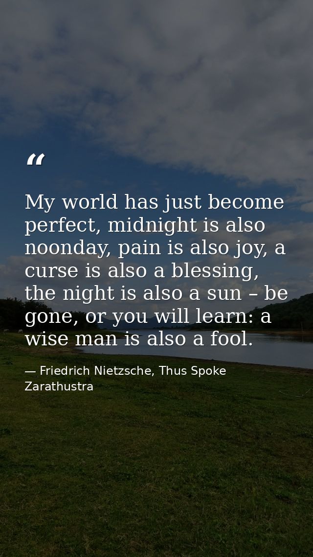 My world has just become perfect, midnight is also noonday, pain is also joy, a curse is also a blessing, the night is a — Friedrich Nietzsche, Thus Spoke Zarathustra