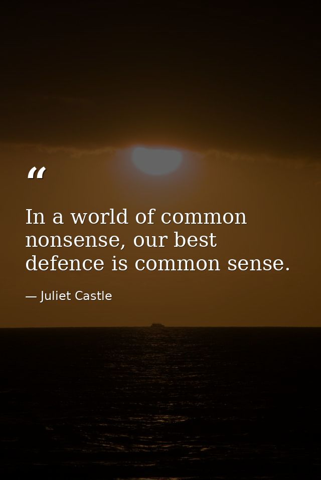 In a world of common nonsense, our best defence is common sense. — Juliet Castle