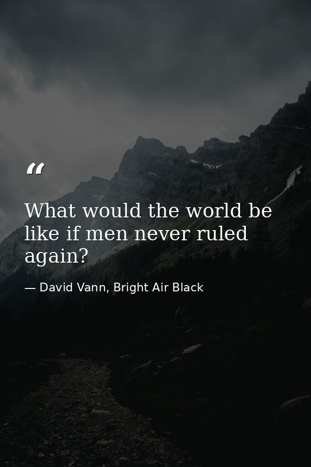 What would the world be like if men never ruled again? — David Vann, Bright Air Black