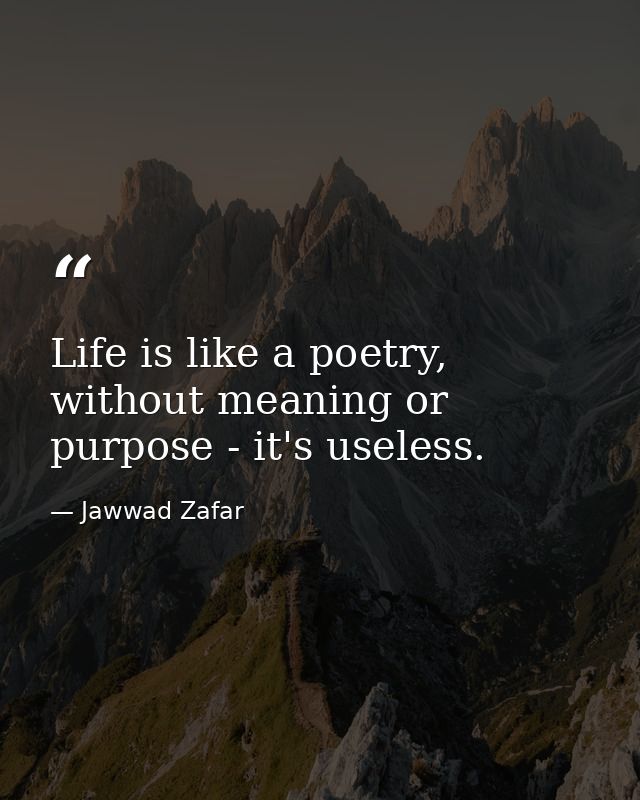 Life is like a poetry, without meaning or purpose - it's useless. — Jawwad Zafar