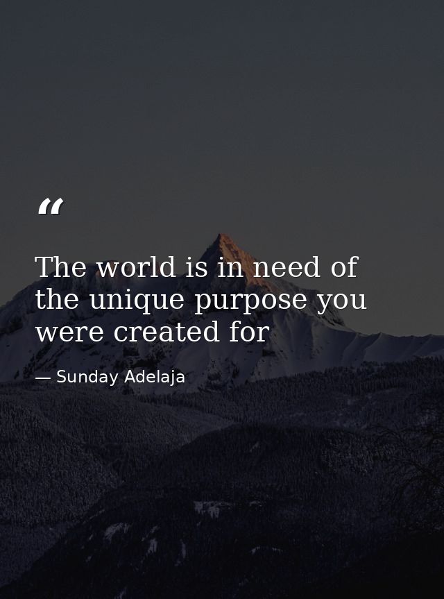 The world is in need of the unique purpose you were created for — Sunday Adelaja