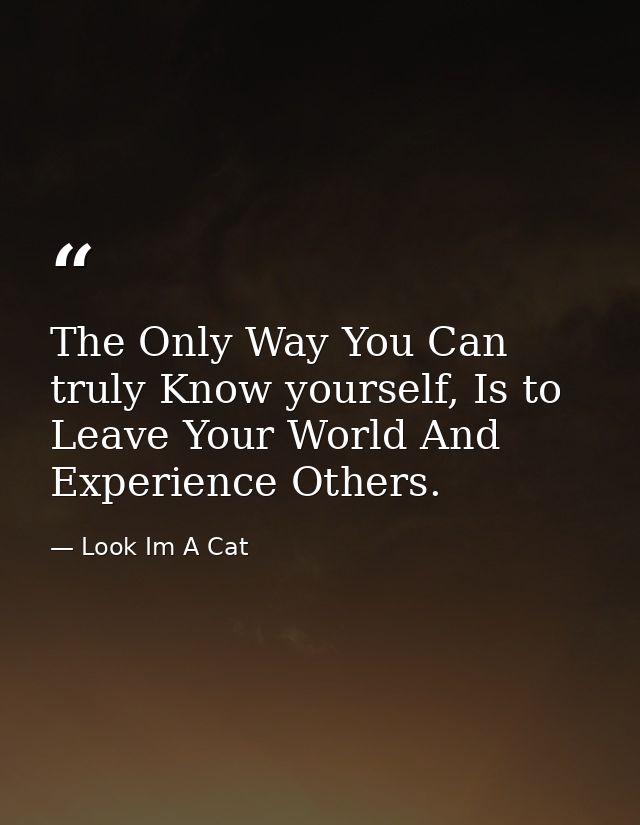 The Only Way You Can truly Know yourself, Is to Leave Your World And Experience Others. — Look Im A Cat