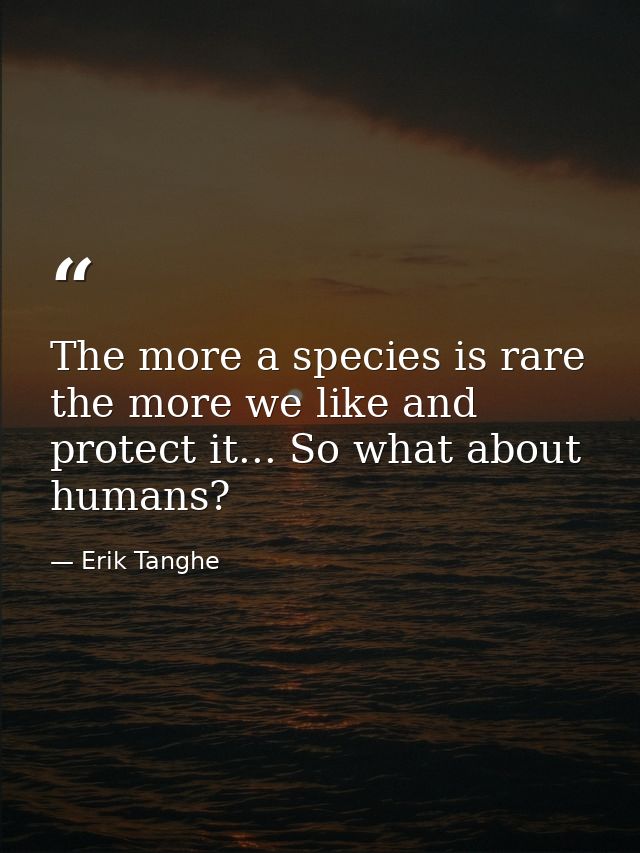 The more a species is rare the more we like and protect it... So what about humans? — Erik Tanghe
