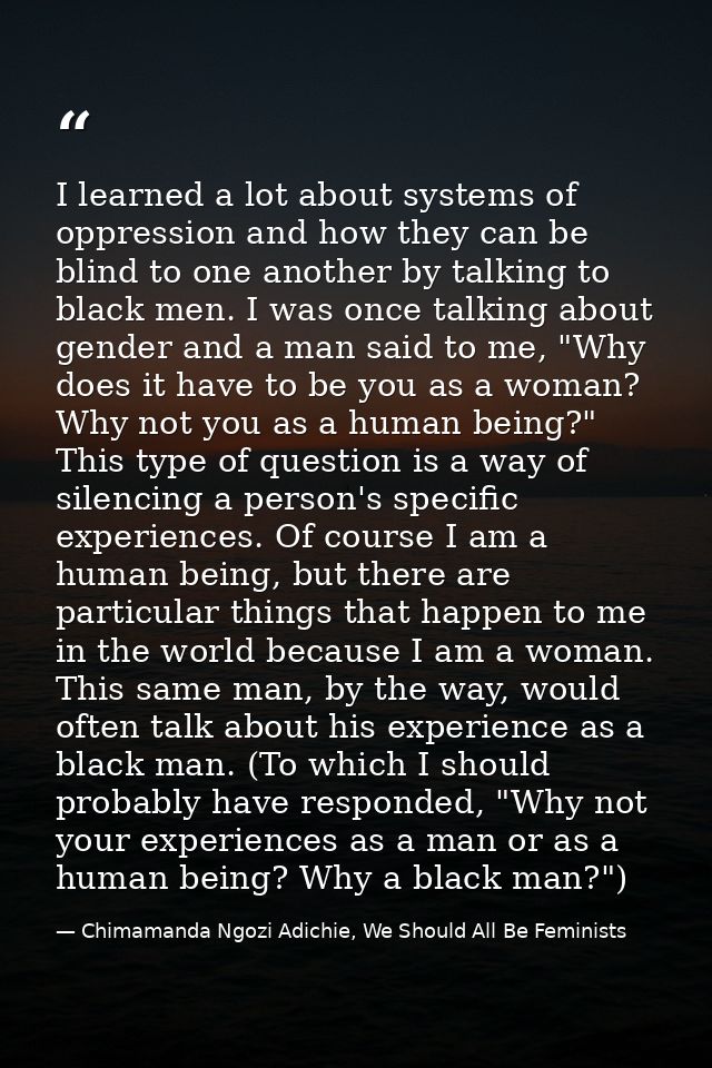 I learned a lot about systems of oppression and how they can be blind to one another by talking to black men. I was once — Chimamanda Ngozi Adichie, We Should All Be Feminists