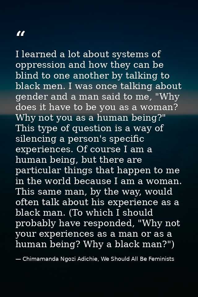 I learned a lot about systems of oppression and how they can be blind to one another by talking to black men. I was once — Chimamanda Ngozi Adichie, We Should All Be Feminists