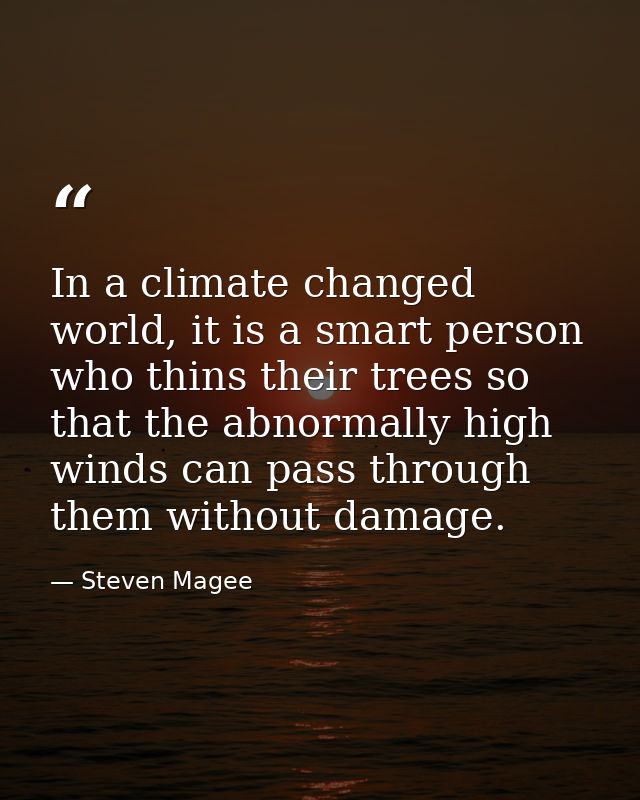 In a climate changed world, it is a smart person who thins their trees so that the abnormally high winds can pass throug — Steven Magee