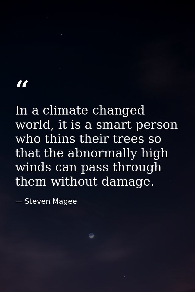 In a climate changed world, it is a smart person who thins their trees so that the abnormally high winds can pass throug — Steven Magee