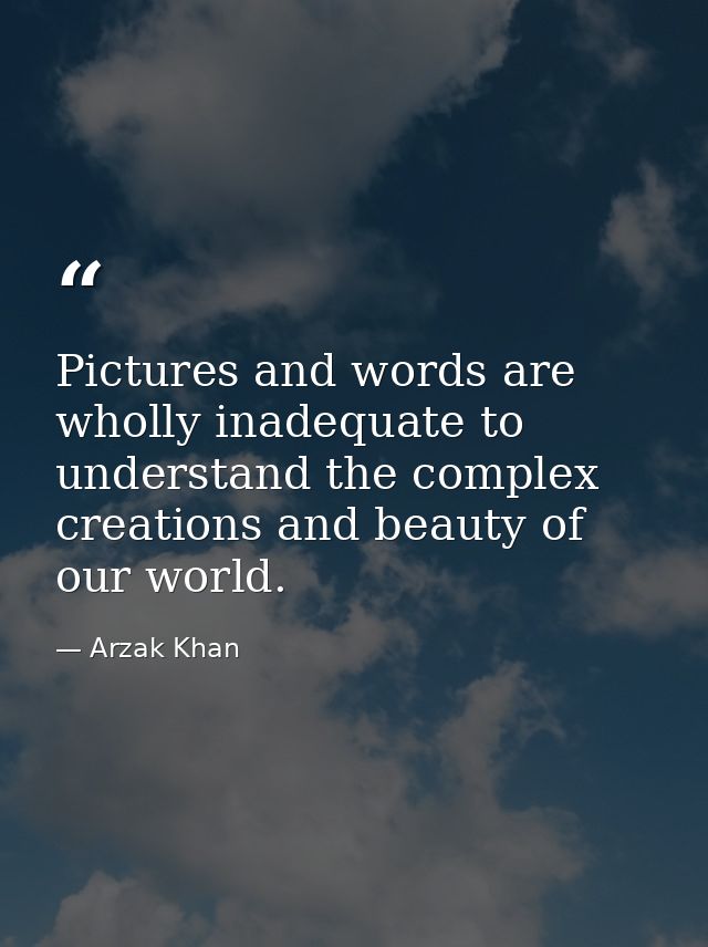 Pictures and words are wholly inadequate to understand the complex creations and beauty of our world. — Arzak Khan