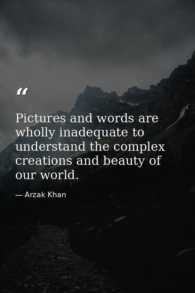 Pictures and words are wholly inadequate to understand the complex creations and beauty of our world. — Arzak Khan