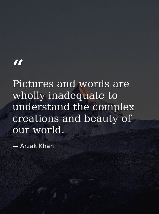 Pictures and words are wholly inadequate to understand the complex creations and beauty of our world. — Arzak Khan