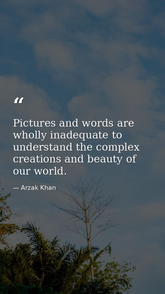 Pictures and words are wholly inadequate to understand the complex creations and beauty of our world. — Arzak Khan