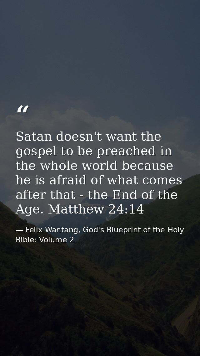 Satan doesn't want the gospel to be preached in the whole world because he is afraid of what comes after that - the End  — Felix Wantang, God's Blueprint of the Holy Bible: Volume 2