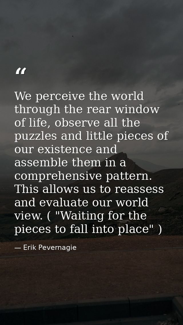 We perceive the world through the rear window of life, observe all the puzzles and little pieces of our existence and as — Erik Pevernagie