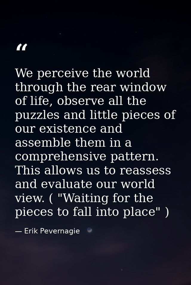We perceive the world through the rear window of life, observe all the puzzles and little pieces of our existence and as — Erik Pevernagie