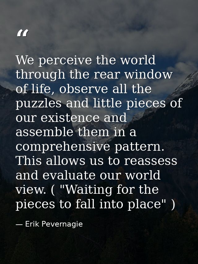 We perceive the world through the rear window of life, observe all the puzzles and little pieces of our existence and as — Erik Pevernagie