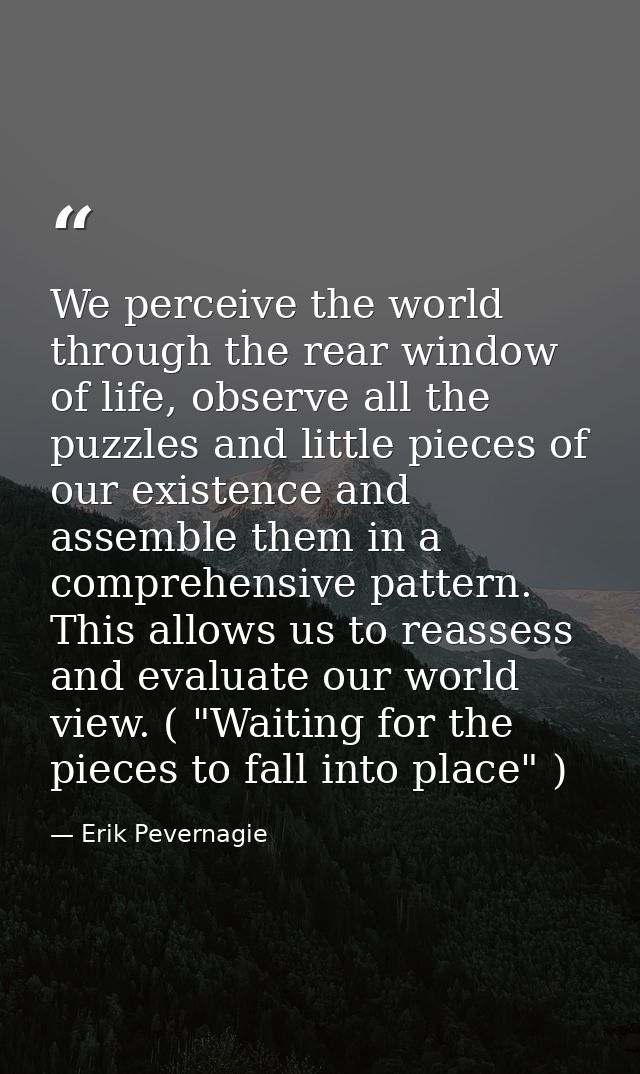 We perceive the world through the rear window of life, observe all the puzzles and little pieces of our existence and as — Erik Pevernagie