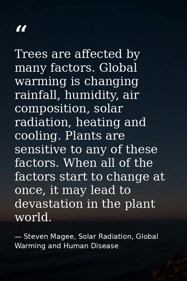 Trees are affected by many factors. Global warming is changing rainfall, humidity, air composition, solar radiation, hea — Steven Magee, Solar Radiation, Global Warming and Human Disease