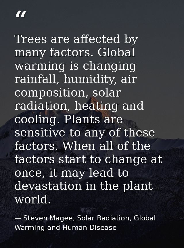 Trees are affected by many factors. Global warming is changing rainfall, humidity, air composition, solar radiation, hea — Steven Magee, Solar Radiation, Global Warming and Human Disease