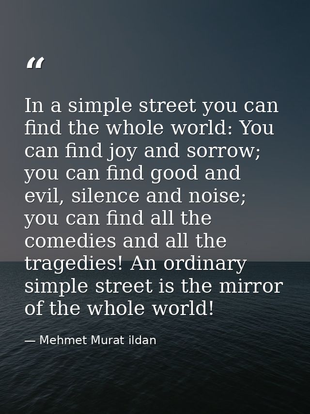 In a simple street you can find the whole world: You can find joy and sorrow; you can find good and evil, silence and no — Mehmet Murat ildan