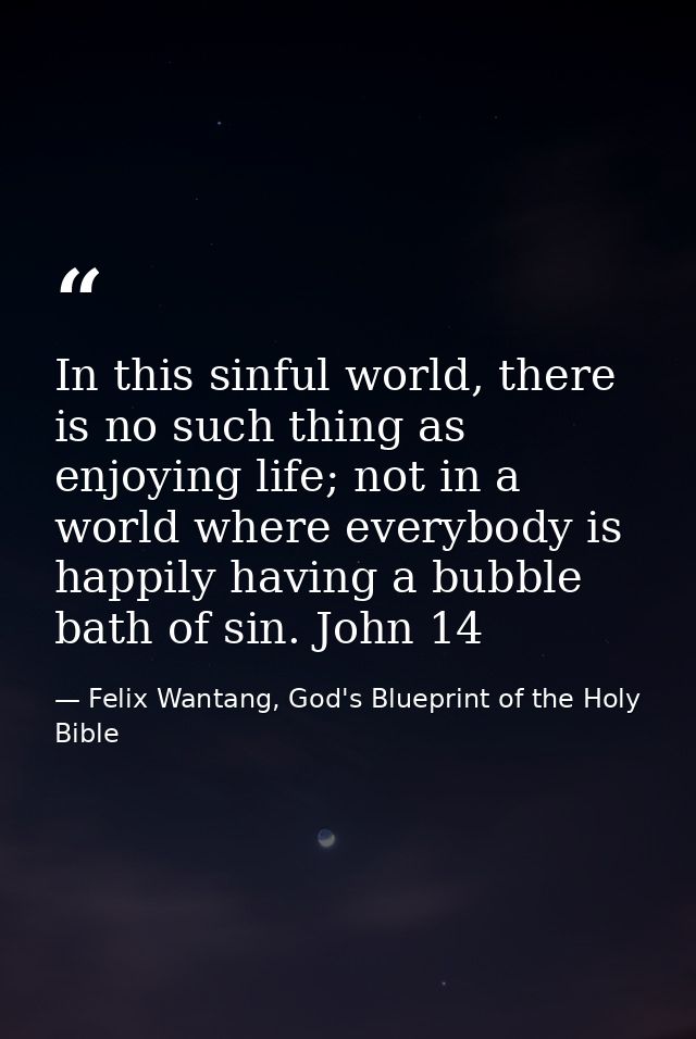 In this sinful world, there is no such thing as enjoying life; not in a world where everybody is happily having a bubble — Felix Wantang, God's Blueprint of the Holy Bible