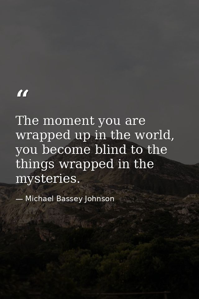 The moment you are wrapped up in the world, you become blind to the things wrapped in the mysteries. — Michael Bassey Johnson