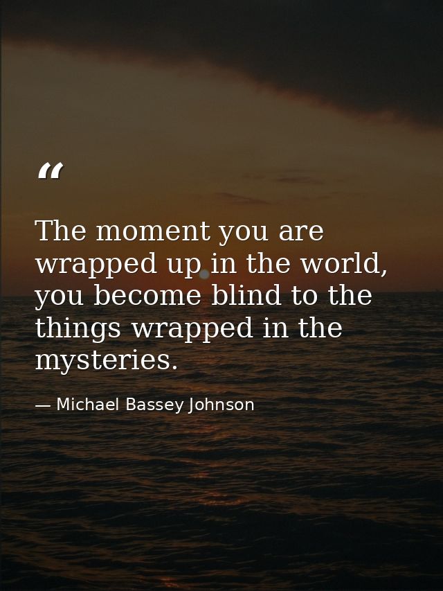 The moment you are wrapped up in the world, you become blind to the things wrapped in the mysteries. — Michael Bassey Johnson