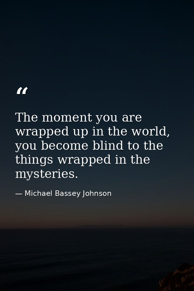 The moment you are wrapped up in the world, you become blind to the things wrapped in the mysteries. — Michael Bassey Johnson