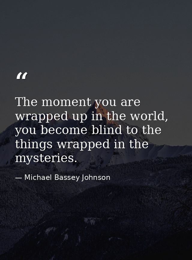 The moment you are wrapped up in the world, you become blind to the things wrapped in the mysteries. — Michael Bassey Johnson