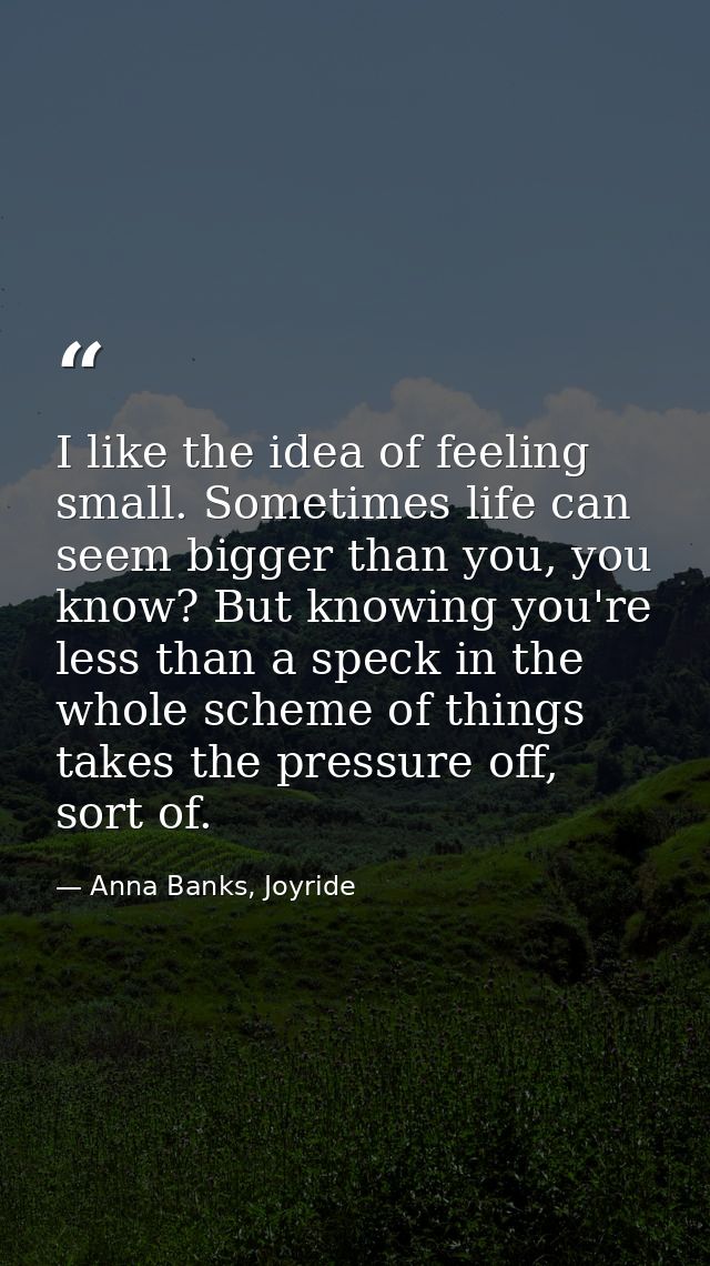 I like the idea of feeling small. Sometimes life can seem bigger than you, you know? But knowing you're less than a spec — Anna Banks, Joyride