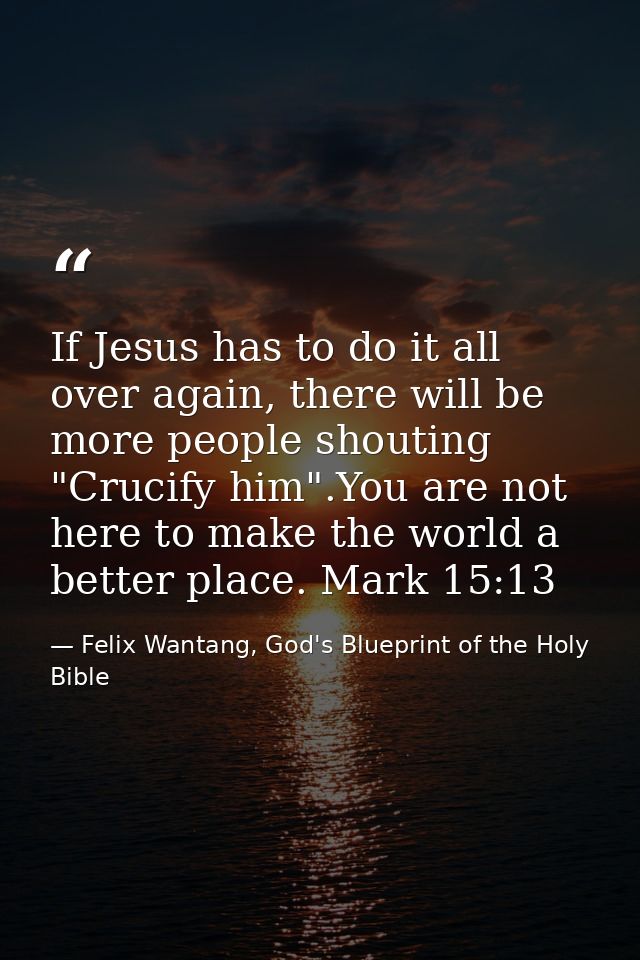 If Jesus has to do it all over again, there will be more people shouting "Crucify him".You are not here to make the worl — Felix Wantang, God's Blueprint of the Holy Bible