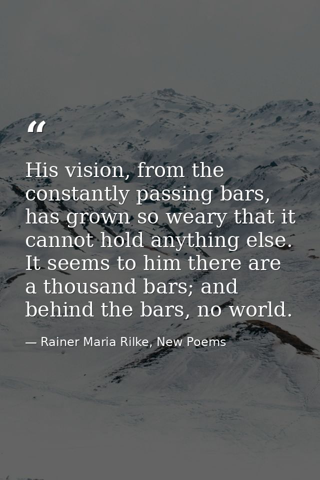 His vision, from the constantly passing bars, has grown so weary that it cannot hold anything else. It seems to him ther — Rainer Maria Rilke, New Poems