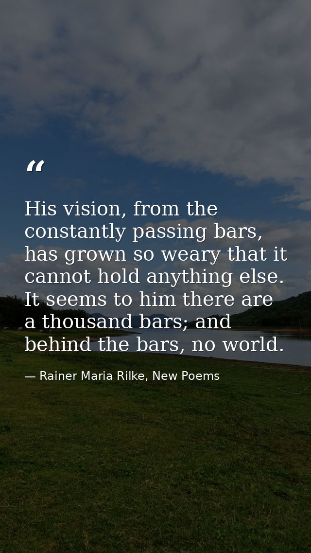 His vision, from the constantly passing bars, has grown so weary that it cannot hold anything else. It seems to him ther — Rainer Maria Rilke, New Poems