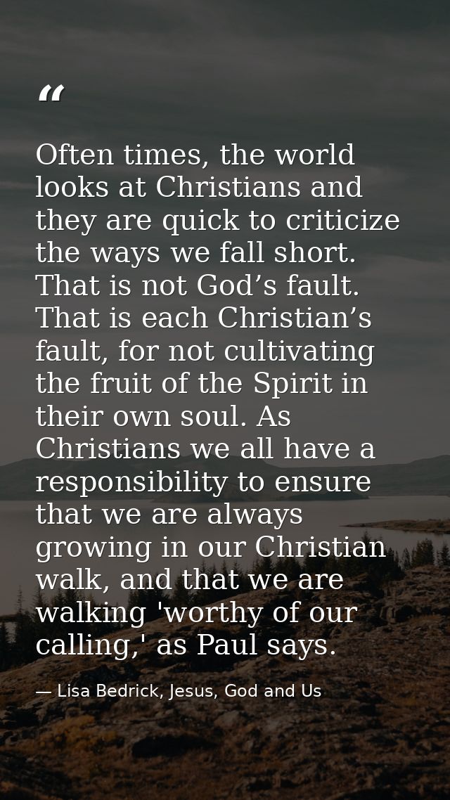 Often times, the world looks at Christians and they are quick to criticize the ways we fall short. That is not God’s fau — Lisa Bedrick, Jesus, God and Us