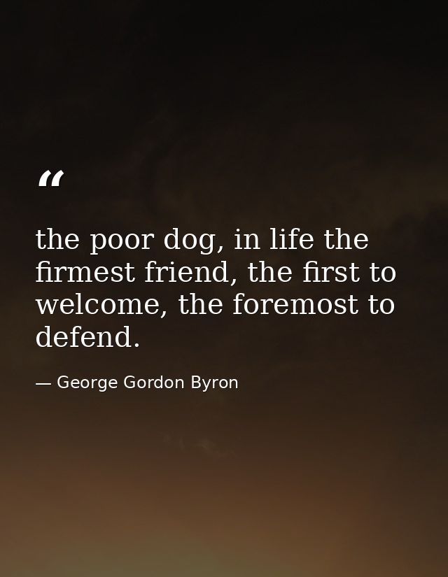the poor dog, in life the firmest friend, the first to welcome, the foremost to defend. — George Gordon Byron