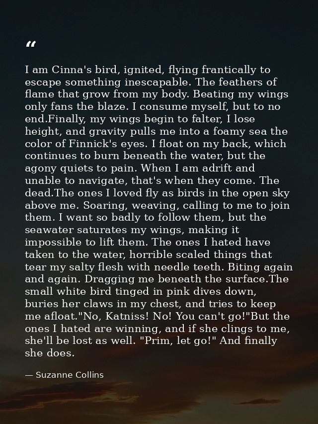 I am Cinna's bird, ignited, flying frantically to escape something inescapable. The feathers of flame that grow from my  — Suzanne Collins