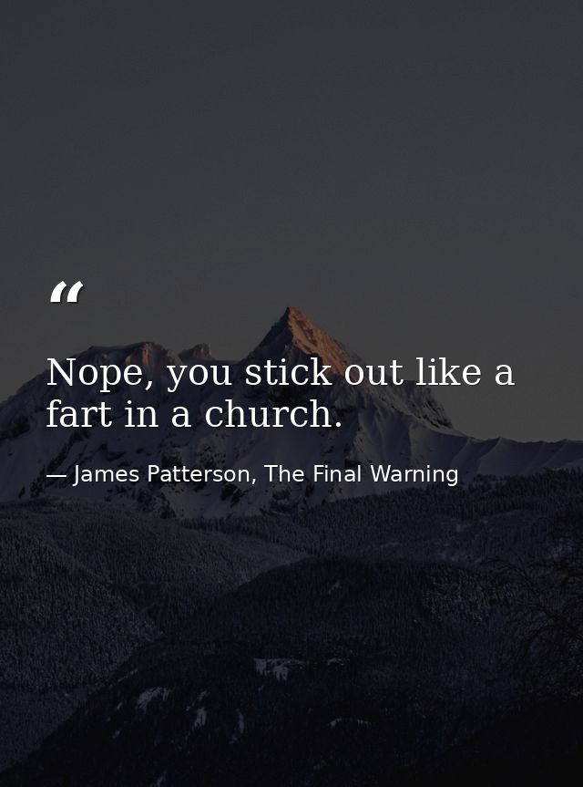Nope, you stick out like a fart in a church. — James Patterson, The Final Warning