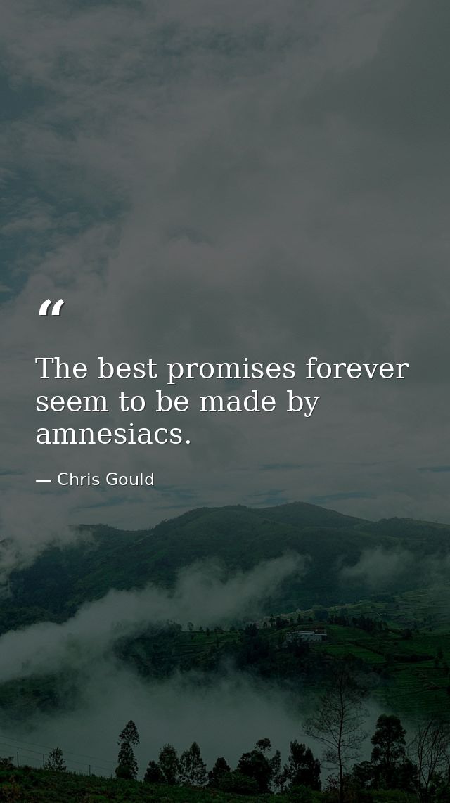 The best promises forever seem to be made by amnesiacs. — Chris Gould