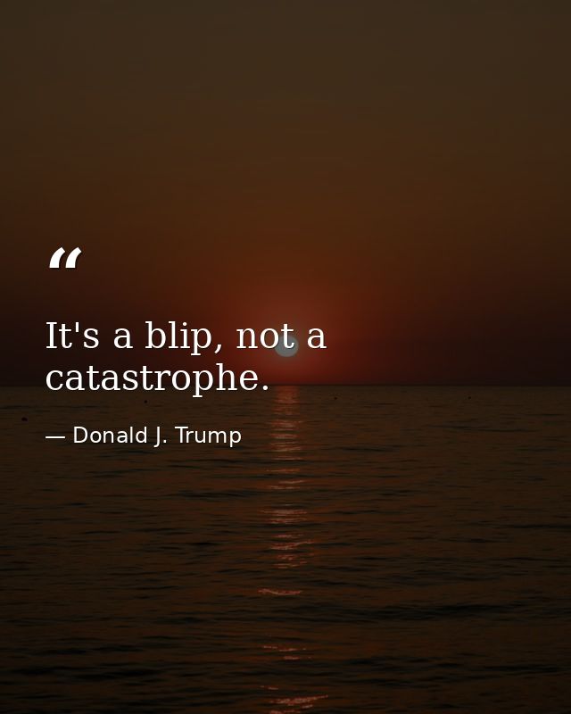 It's a blip, not a catastrophe. — Donald J. Trump