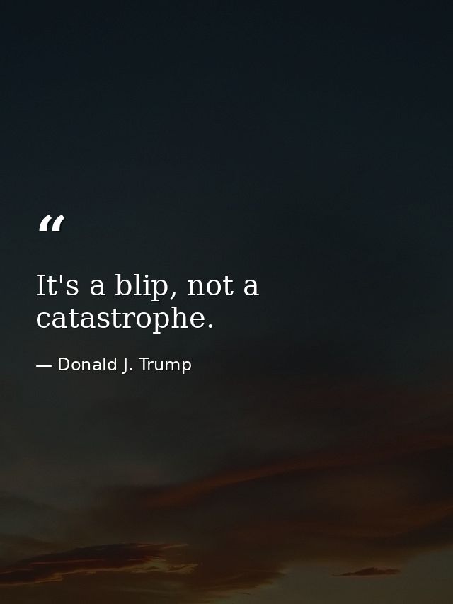 It's a blip, not a catastrophe. — Donald J. Trump