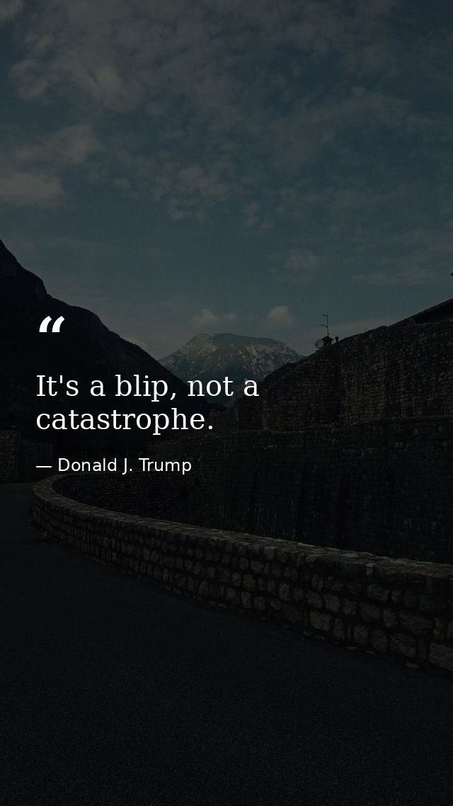 It's a blip, not a catastrophe. — Donald J. Trump