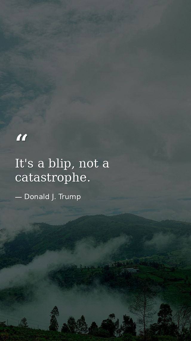 It's a blip, not a catastrophe. — Donald J. Trump