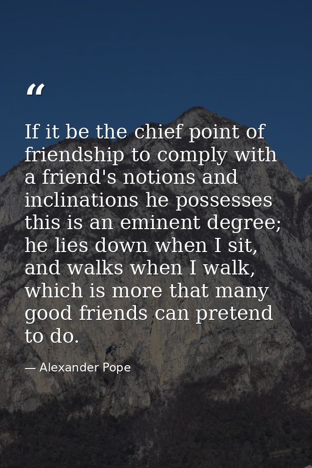 If it be the chief point of friendship to comply with a friend's notions and inclinations he possesses this is an eminen — Alexander Pope